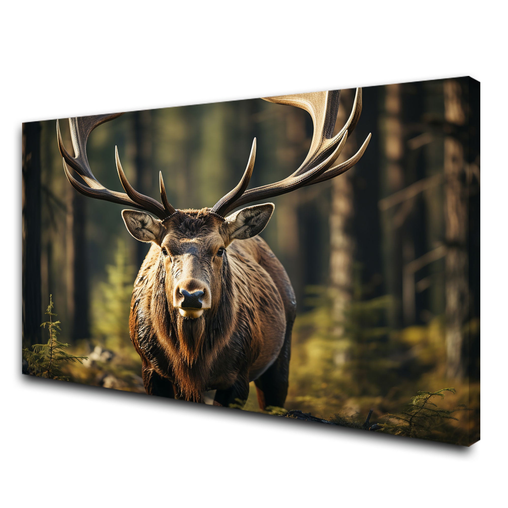 Deer Canvas painting with frame Big Size Wall Art for living room,Bedroom,Drawing room,Hotels