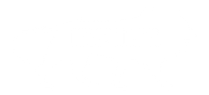 Make in India